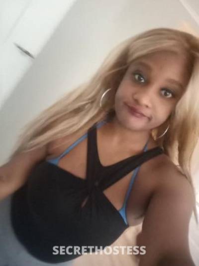 Destiny 29Yrs Old Escort Springfield MA Image - 2