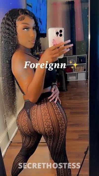 Foreignn 23Yrs Old Escort Worcester MA Image - 5