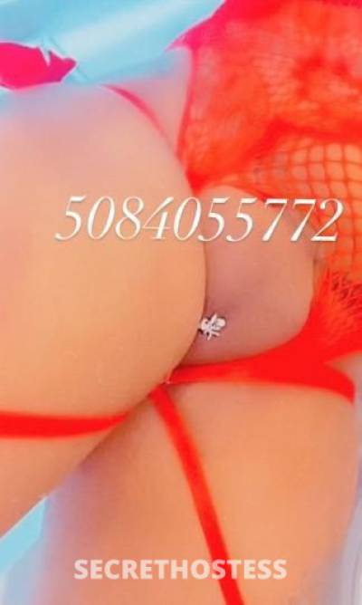GCupLatina 26Yrs Old Escort Boston MA Image - 2