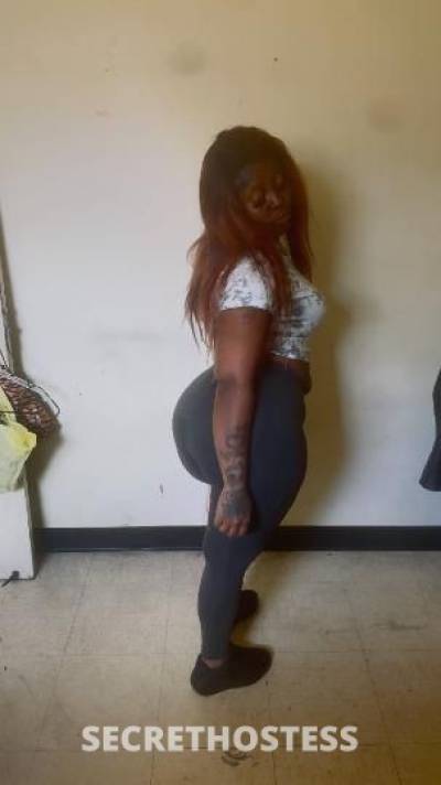 HotCake 39Yrs Old Escort Miami FL Image - 0