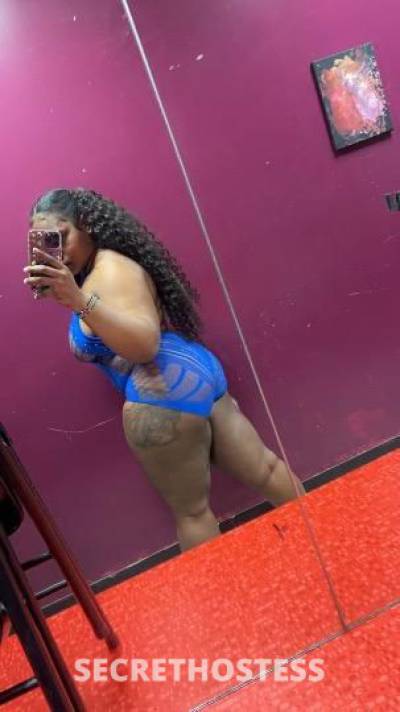 Kay 24Yrs Old Escort Corpus Christi TX Image - 0