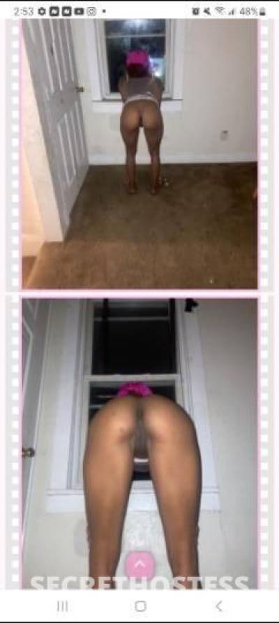 Lady 28Yrs Old Escort Cleveland OH Image - 4