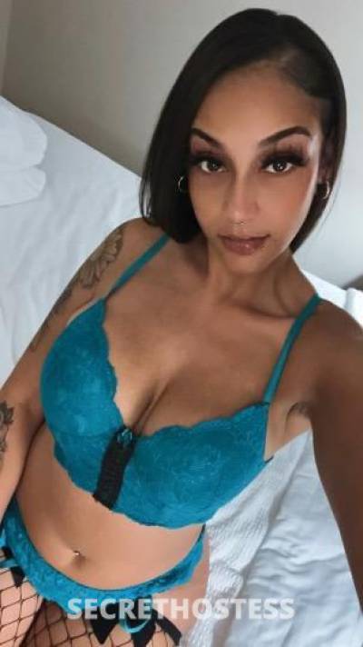 LolaBrinx 25Yrs Old Escort San Jose CA Image - 0