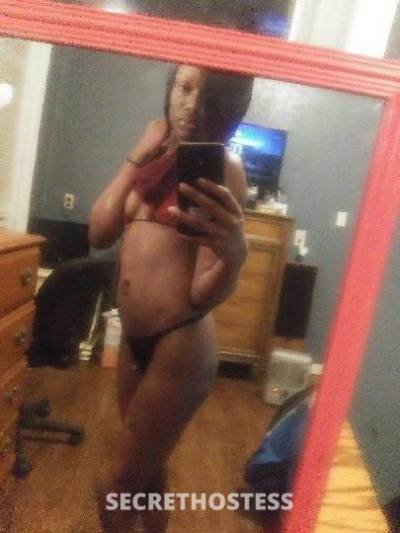 MZCoco 30Yrs Old Escort Saint Louis MO Image - 3