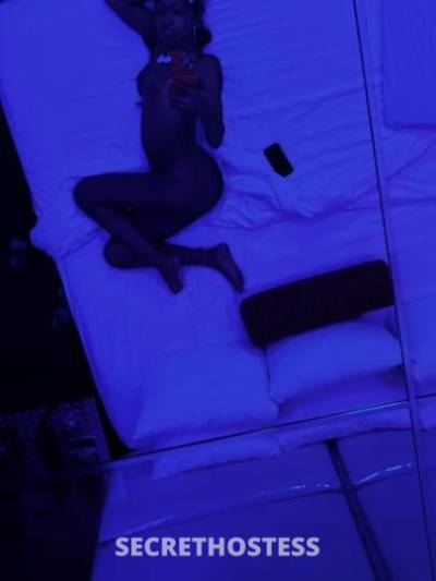 MelanieRose 27Yrs Old Escort 170CM Tall Chicago IL Image - 6