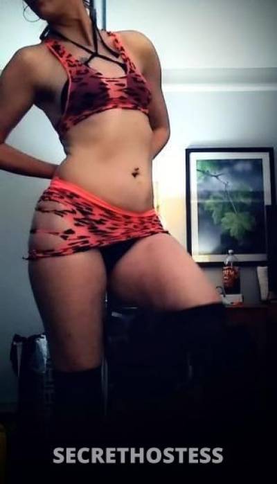 Missy 39Yrs Old Escort Santa Cruz CA Image - 1