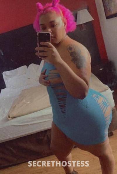 Mizhani 26Yrs Old Escort Norfolk VA Image - 4