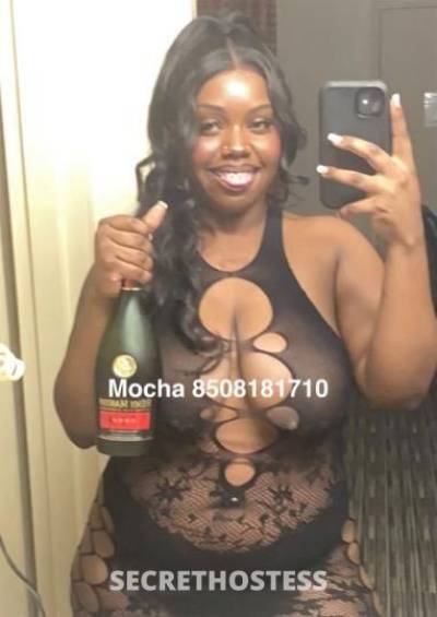 Mocha 24Yrs Old Escort Panama City FL Image - 3