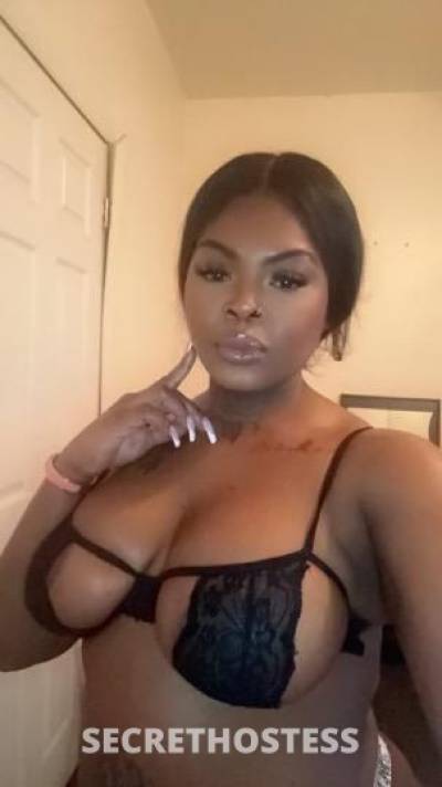 Mzhonduras 29Yrs Old Escort Brooklyn NY Image - 5