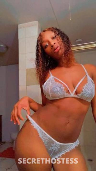 Olivia 26Yrs Old Escort South Jersey NJ Image - 0