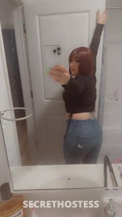 Pinky 27Yrs Old Escort Albany NY Image - 4