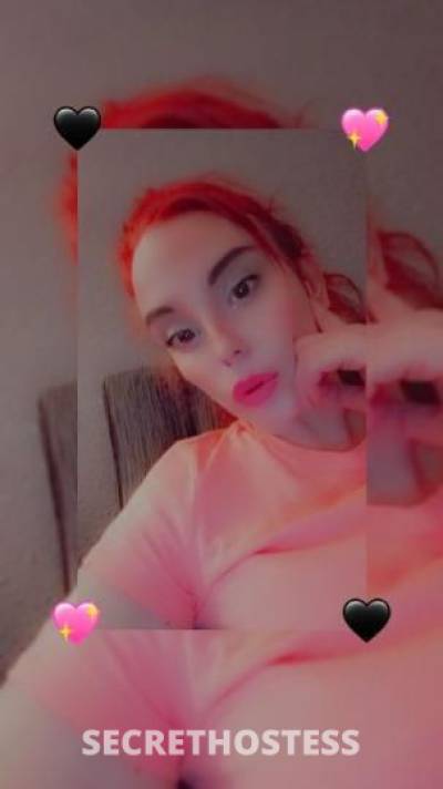 Rosie 29Yrs Old Escort Chicago IL Image - 1