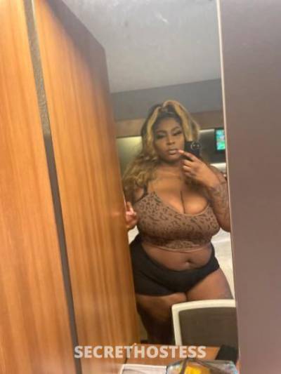 Samya 27Yrs Old Escort New Orleans LA Image - 0