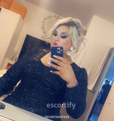 TRANS HOLLY 27Yrs Old Escort 194CM Tall Hamilton Image - 6