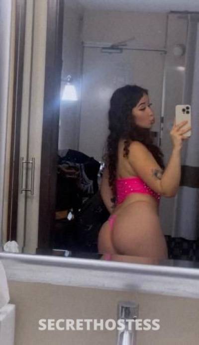 candybaby 20Yrs Old Escort San Jose CA Image - 0