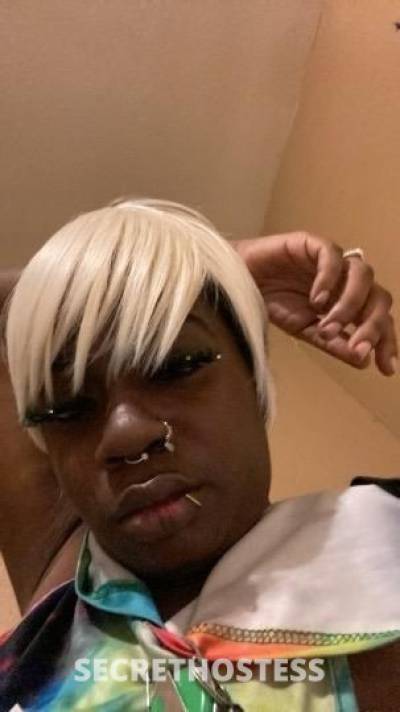 BlackMonroe 30Yrs Old Escort Tyler TX Image - 4