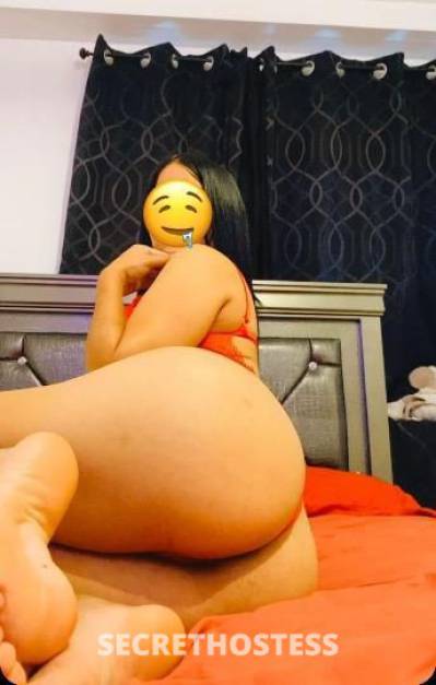 Cielo 23Yrs Old Escort McAllen TX Image - 0