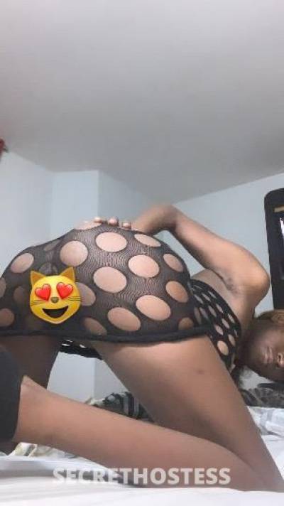 Keke 21Yrs Old Escort Dallas TX Image - 8