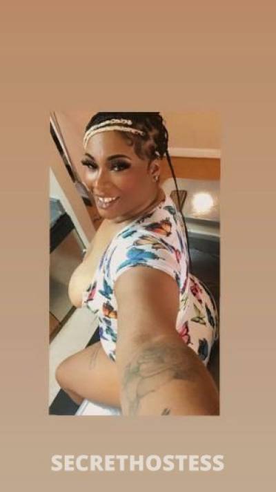 Redd 28Yrs Old Escort Houston TX Image - 1