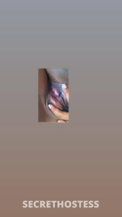 Redd 28Yrs Old Escort Houston TX Image - 3