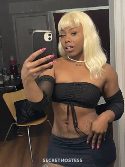 24 year old American Escort in Memphis TN xxxx-xxx-xxx Visiting Memphis for a couple weeks