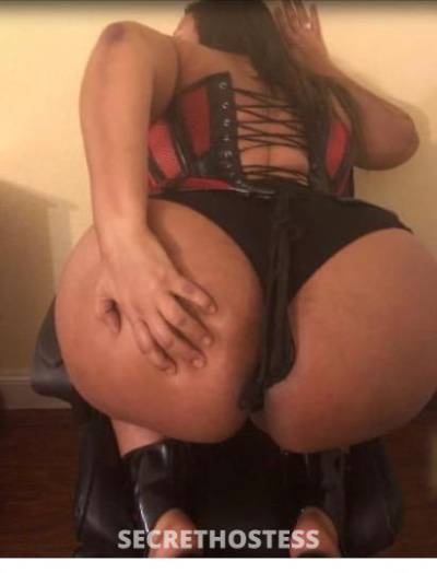 27Yrs Old Escort Dallas TX Image - 0