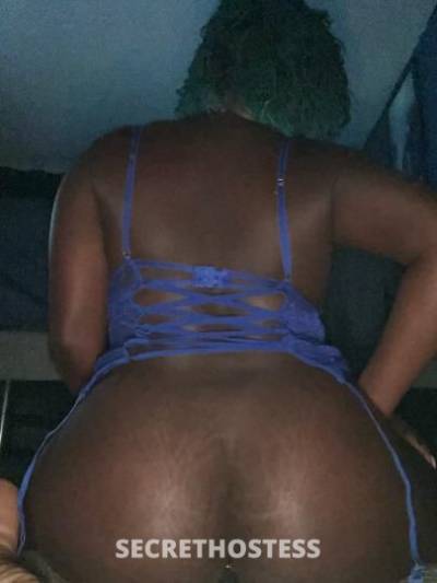 27Yrs Old Escort Tampa FL Image - 2