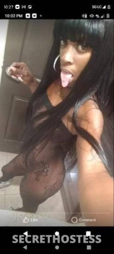 29Yrs Old Escort Memphis TN Image - 0