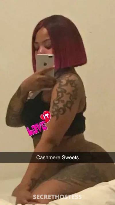 Cashmere  🌟 25Yrs Old Escort Minot ND Image - 0