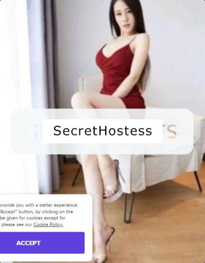 28 Year Old Asian Escort Dublin - Image 2