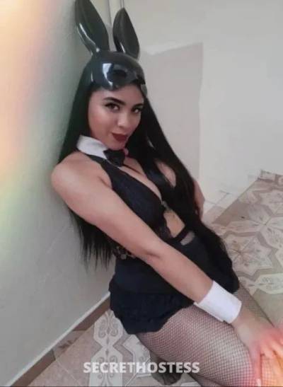 Latin Princess 24Yrs Old Escort 134CM Tall Honolulu HI Image - 0