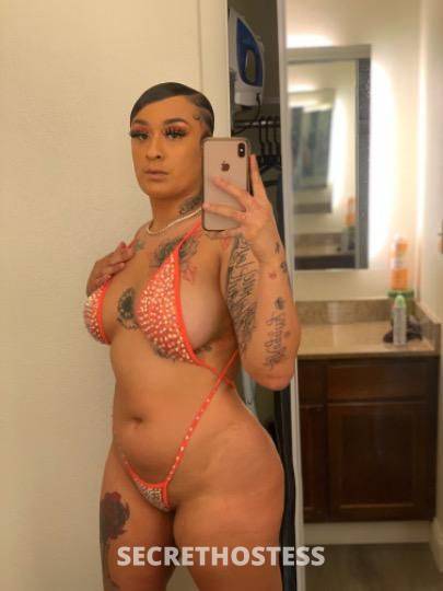 Brandy 25Yrs Old Escort Nashville TN Image - 0