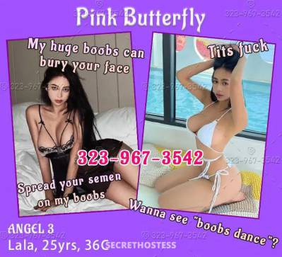 xxxx-xxx-xxx pink butterfly-most professional sex club in  in Wheeling WV