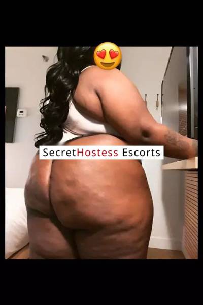 27Yrs Old Escort 95KG 164CM Tall Edmonton Image - 2