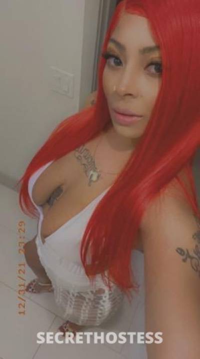 Amber 28Yrs Old Escort Stockton CA Image - 6