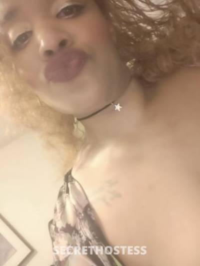 Amina 25Yrs Old Escort Tacoma WA Image - 1