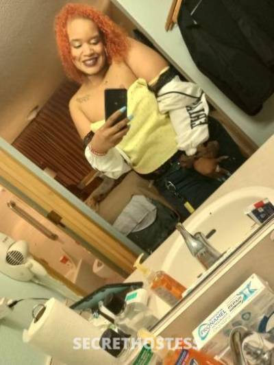 Amina 25Yrs Old Escort Tacoma WA Image - 3