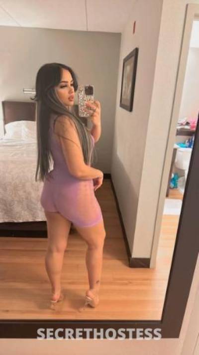 Amira🤍 25Yrs Old Escort Boston MA Image - 4