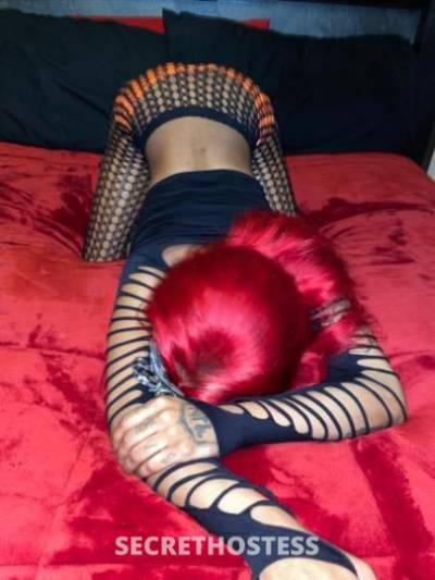 Angel 21Yrs Old Escort Dallas TX Image - 3