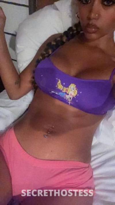 Barbie 24Yrs Old Escort New York City NY Image - 3