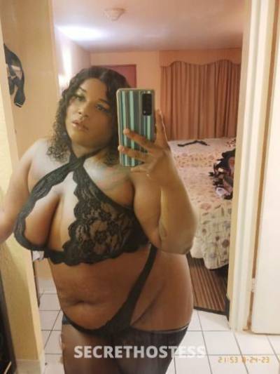 Bayleigh 24Yrs Old Escort Chesapeake VA Image - 1