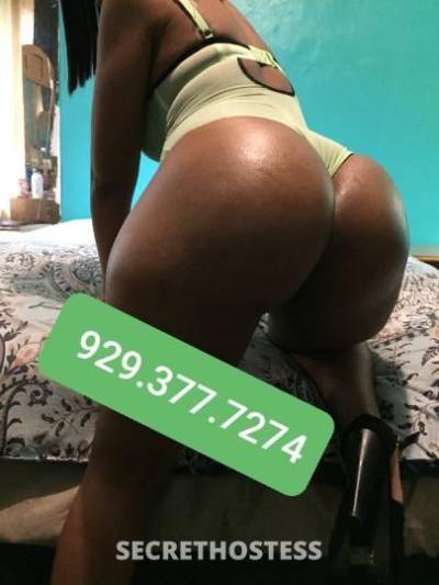 BigbootyStallion 29Yrs Old Escort Bronx NY Image - 1