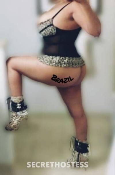 Brazil 34Yrs Old Escort Columbus OH Image - 3