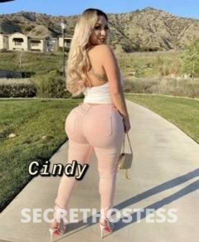 CINDY 29Yrs Old Escort North Bay CA Image - 1