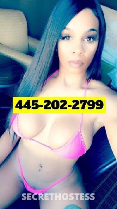 Cashmere 27Yrs Old Escort Harrisburg PA Image - 1