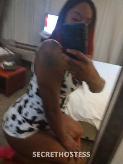 Cashmere 29Yrs Old Escort San Marcos TX Image - 1