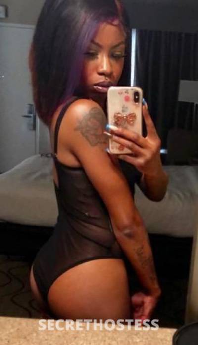 Coco 26Yrs Old Escort Concord CA Image - 1