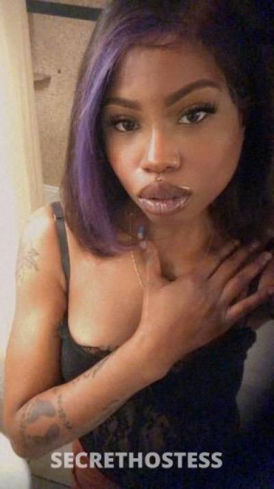 Coco 26Yrs Old Escort Concord CA Image - 5