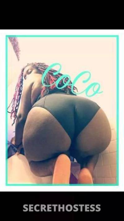 Courtney 28Yrs Old Escort Baltimore MD Image - 7