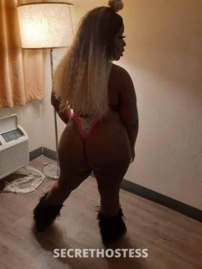 Gloria 28Yrs Old Escort Columbia SC Image - 0